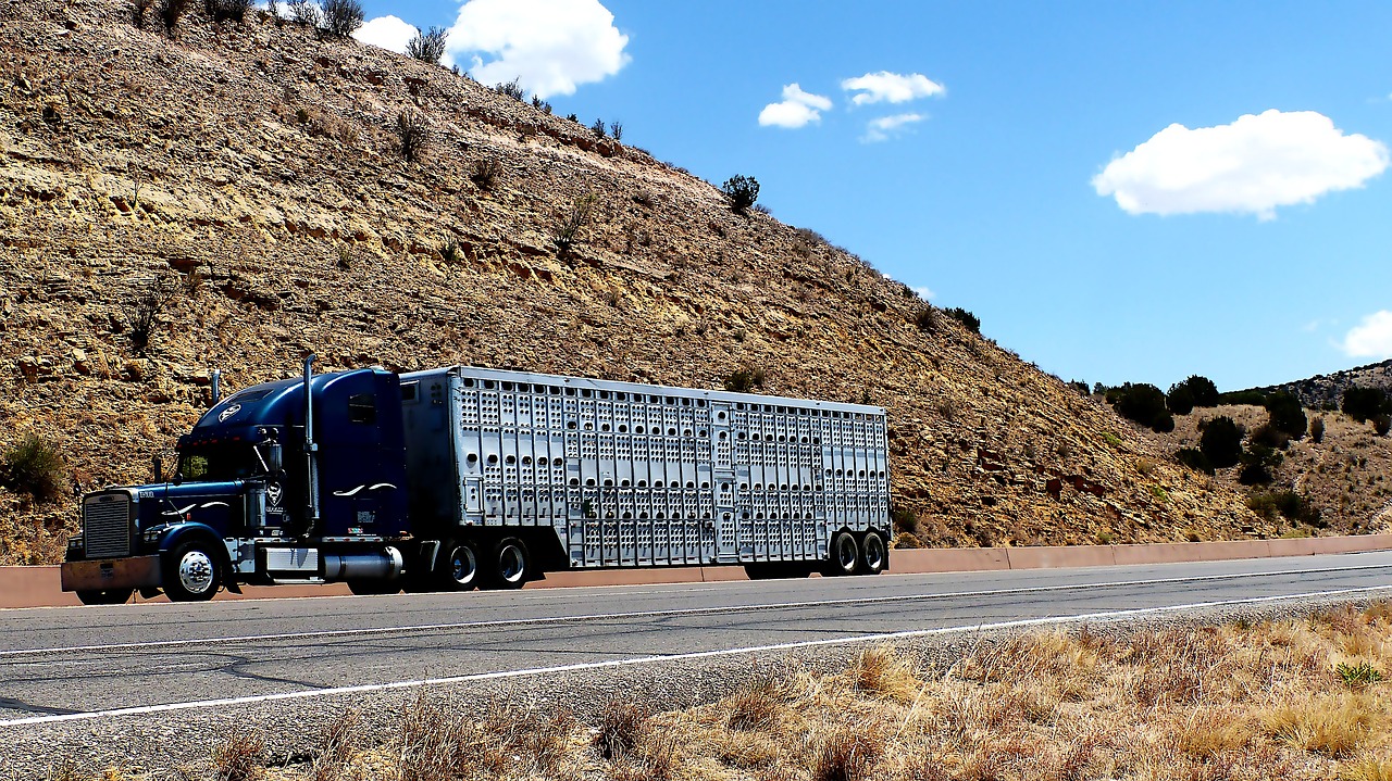 The Fleet Was Fiction: What a $127 Million Trucking Ponzi Tells Brokers About Carrier Financial Fraud